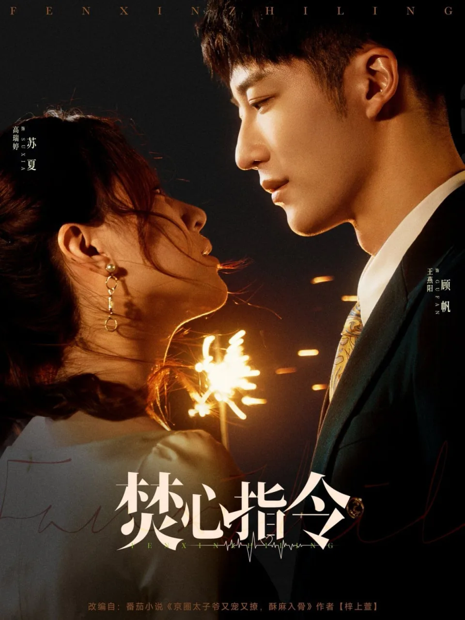 焚心指令